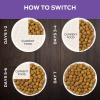 imagePro Plan Veterinary Diets Purina DH Dental Health Feline Formula Dry Cat Food  6 lb Bag