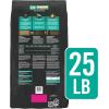 imagePro Plan Veterinary Diets Purina EN Gastroenteric Naturals with Added Vitamins Minerals and Nutrients Canine Dry Natural Dog Food  25 lb Bag25 Pound Pack of 1