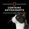 imagePro Plan Veterinary Diets Purina NF Kidney Function Advanced Care Feline Formula Dry Cat Food  315 lb Bag315 Pound Pack of 1