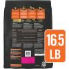 imagePro Plan Veterinary Diets Purina OM Select Blend Overweight Management Canine Formula Dry Dog Food  6 lb BagChicken SB