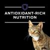 imagePurina Pro Plan Veterinary Diets DM Dietetic Management Feline Formula Dry Cat Food  10 lb Bag10 Pound Pack of 1