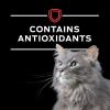 imagePurina Pro Plan Veterinary Diets DM Dietetic Management Feline Formula Wet Cat Food  Pack of 24 55 oz Cans