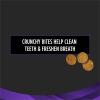 imagePurina Pro Plan Veterinary Diets Dental Bites Cat Treats  18 oz Pouch
