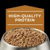 imagePurina Pro Plan Veterinary Diets NF Kidney Function Canine Formula Wet Dog Food  Pack of 12 133 oz Cans