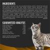 imagePurina Pro Plan Veterinary Diets NF Kidney Function Early Care Feline Formula Adult Wet Cat Food Pate  Pack of 24 55 oz Cans