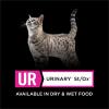 imagePurina Pro Plan Veterinary Diets UR Urinary StOx Feline Formula Wet Cat Food  Pack of 24 55 oz CansTurkey SS